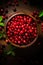 Cranberry banner. Bowl full of cranberries. Close-up food photography background