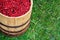 Cranberry in barrel