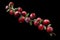 Cranberry branch composition, clipping paths