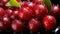 Cranberry Breakfast Top-Down View Fresh Fruit Texture