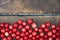 Cranberry or Cowberry on dark rustic wooden background or texture. Top view blurred. Wild berry. Fresh organic Lingonberry.