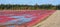 Cranberry farm water management harvesting