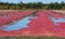 Cranberry farm water management harvesting