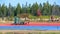 Cranberry farm water management harvesting in Saint-Louis-de-Blandford