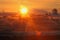 Cranberry Field Sunrise, Richmond, British Columbi