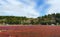 Cranberry Fields in Grayland Washington