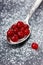 Cranberry frozen with icing sugar in a spoon