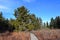 Cranberry Glades Boardwalk Hike