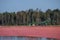 Cranberry Harvest