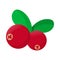 Cranberry icon, cartoon style