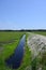 Cranberry Irrigation Channel