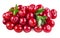 Cranberry isolated on white. With clipping path