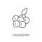 Cranberry linear icon. Modern outline Cranberry logo concept on