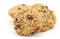 Cranberry oatmeal cookies