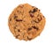 Cranberry oatmeal raisin cookie