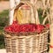 Cranberry Photo : Thanksgiving Day - Stock Photos