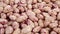 Cranberry pinto beans. Dry raw legumes