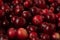 Cranberry. Small forest red berry. A scattering of cranberries. Vitamins from nature