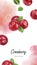 Cranberry vertical card template composition watercolor hand drawn illustration on watercolor splash background.