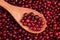 Cranberry in a wooden spoon