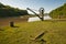 Crane and anchor cotehele quay