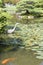 Crane and fish in Japanese garden