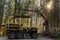 Crane in forest loading logs in the truck. Timber harvesting and transportation in forest