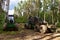 Crane forwarder machine at during clearing of a plantation. Wheeled harvester transports raw timber from the felling site out to a