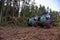 Crane forwarder machines at during clearing of a plantation. Wheeled harvester transports raw timber from the felling site out to