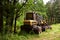 Crane forwarder machines at during clearing of a plantation. Wheeled harvester transports raw timber from the felling site out to