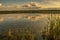 Crane lake on a summers evening