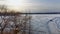 Crane shot from behind the trees showing the frozen river and the fisherman watching the holes in the ice with a cloudy sky at