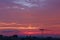Crane silhouette in violet sunset sky in city Ceske Budejovice