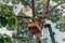 Crane truck on road for group of people working in Saigon,Vietnam, Vietnamese worker work on boom lift to cut branch of tree for