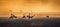 Cranes in a arable field at sunrise.