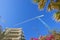 Cranes, buildings and flowers against a deep blue sky