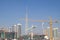 Cranes in modern city skyline