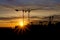 Cranes at Sunrise in Tres Cantos