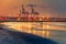 Cranes at sunset with sandy beach and reflections in the foreground at  Larnaca port, Cyprus island