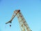 Cranes to repair boats in the bay of Cadiz capital, Andalucia. Spain.