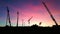 Cranes_and_windmills_at_sunset