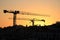 Cranes working at sunset in Lisbon