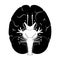 Cranial nerves diagram