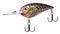 Crankbait for largemouth bass