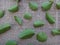 Crape-myrtle leaves on jute background - Abaxial face