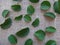 Crape-myrtle leaves on jute background - Adaxial face