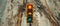 Crashing to Reality: The Story of the Grounded Traffic Light - AR
