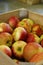Crate of Cortland Apples