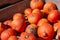 Crate filled with an assortment of ripe pumpkins showcasing autumnal hues