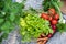 Crate full of freshly harvested vegetables in a garden. Homegrown bio produce concept. Top view.